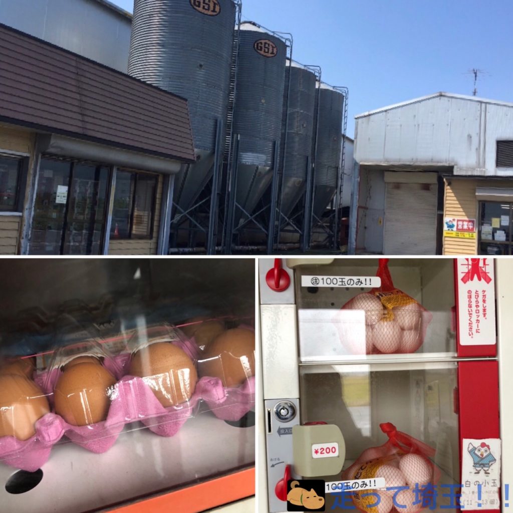 川島町 卵の自動販売機がある 鈴木農場 伊草支店 に行ってきたよ シンデレランが美味しい 埼玉マガジン