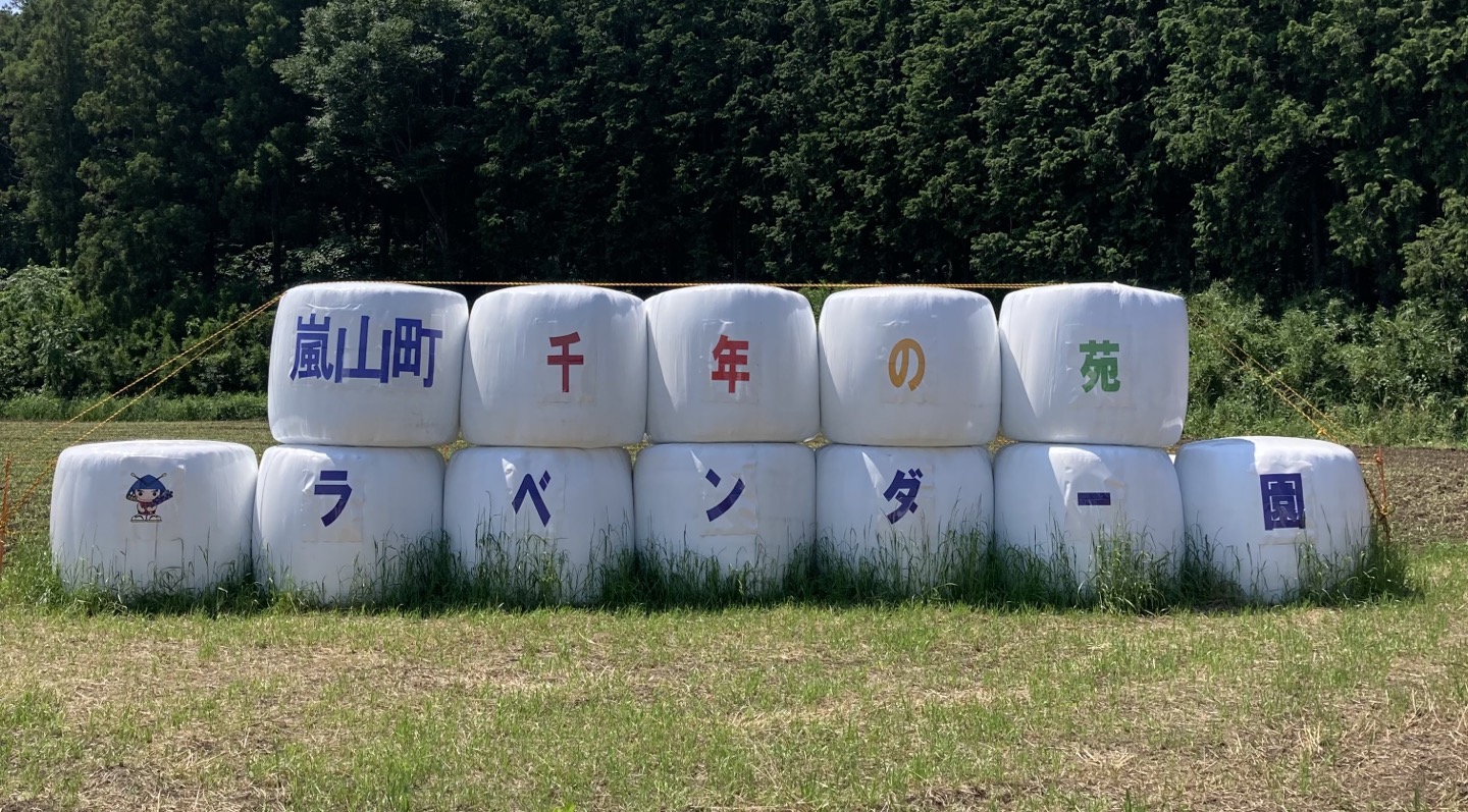 2024年】らんざんラベンダーまつりに行ってきた！！千年の苑ラベンダー