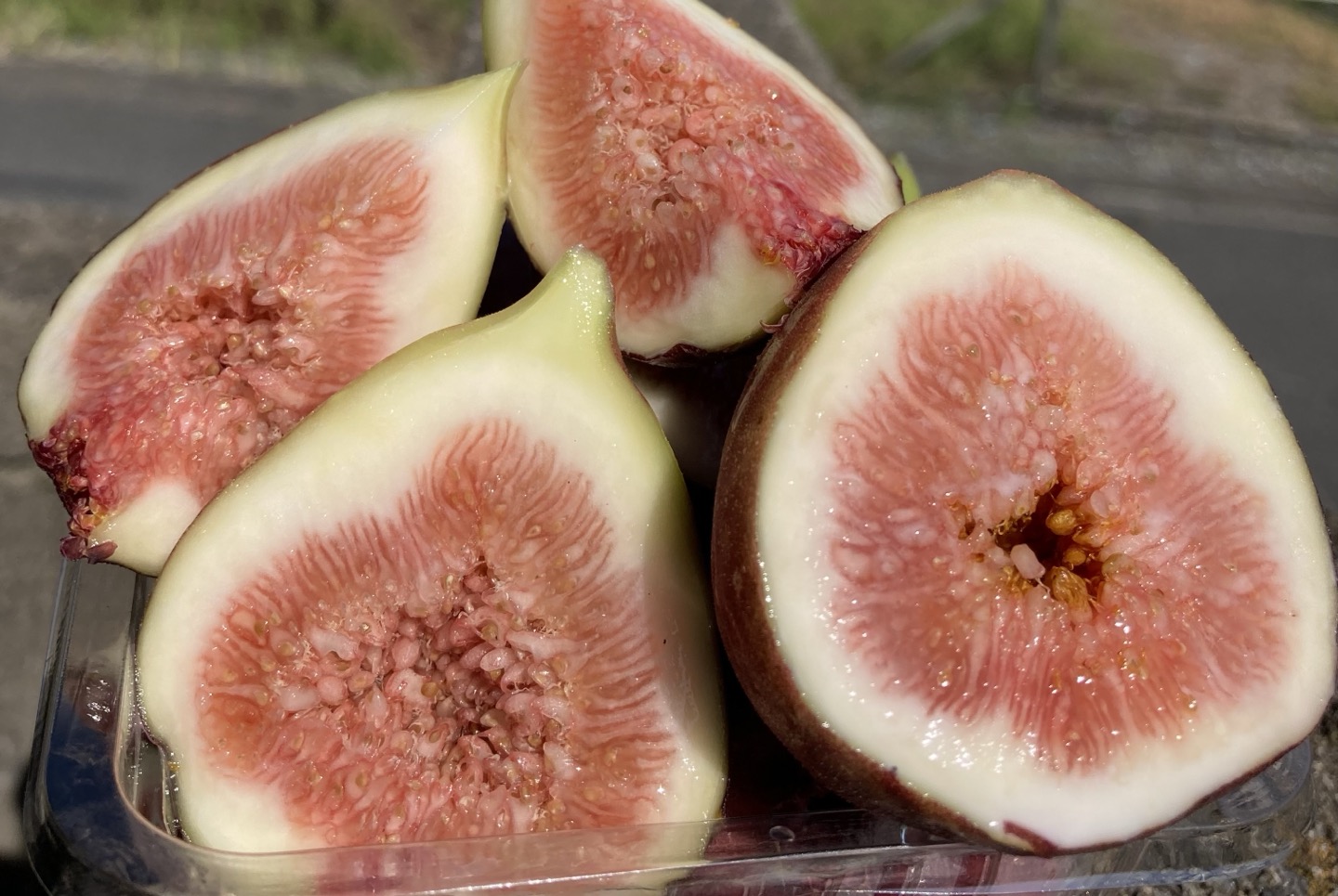 川島町】大澤操いちじく圃場に行ってきた！！直売所の開店は10時から