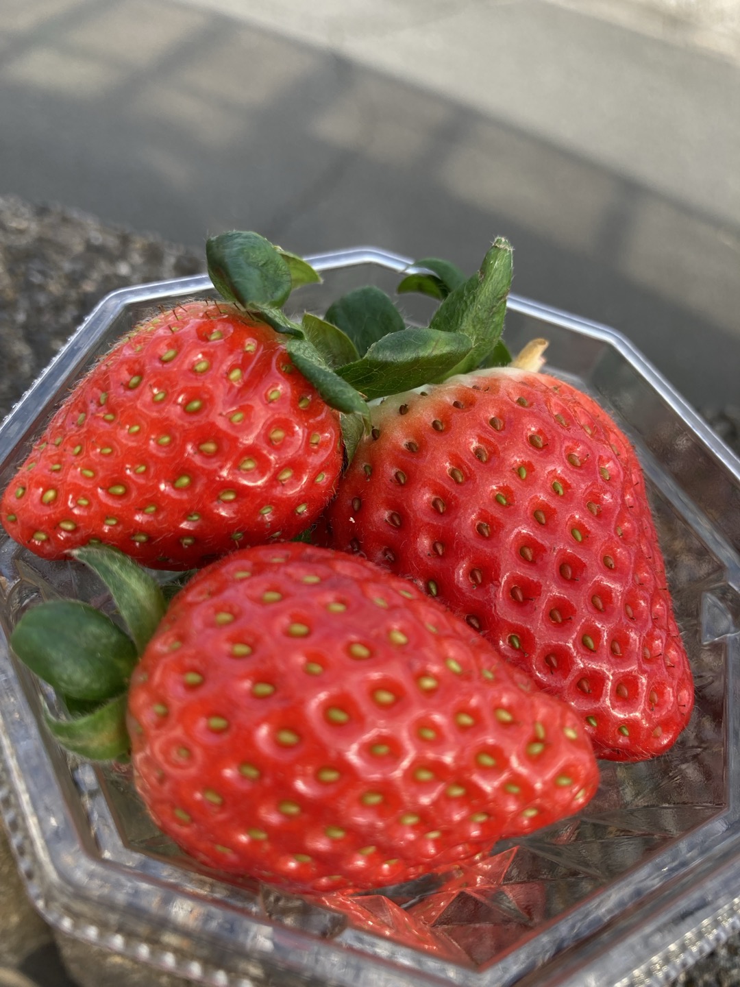 2025年】吉見町の『いちご狩り』スポット情報まとめ！！｜埼玉マガジン