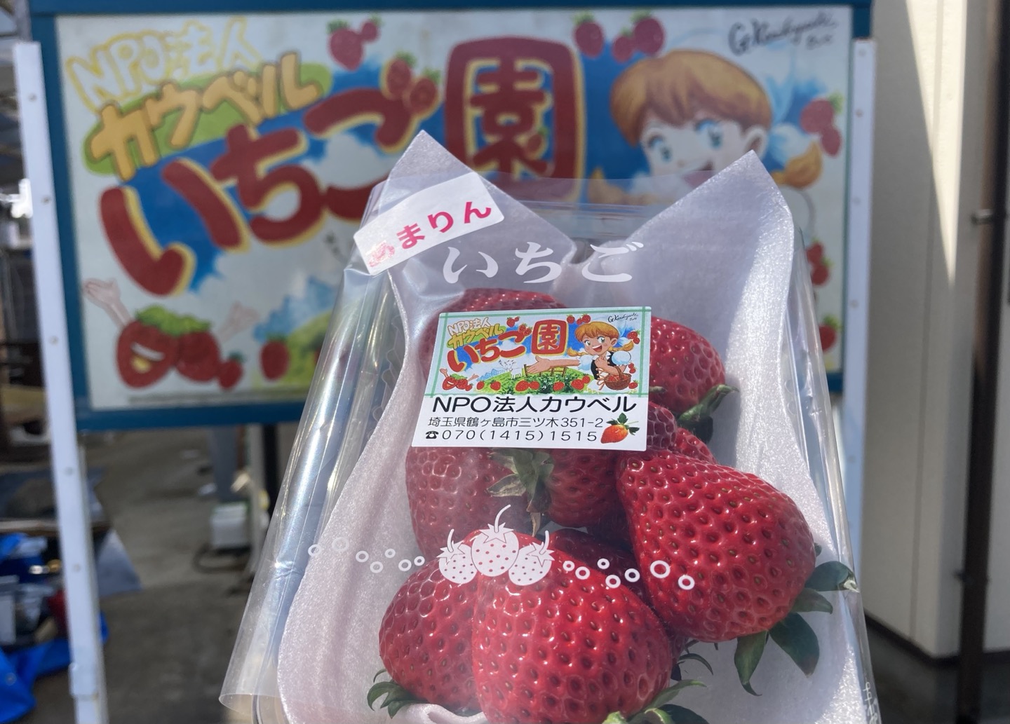 鶴ヶ島市】市役所近くにある「カウベルいちご園」に行ってきた