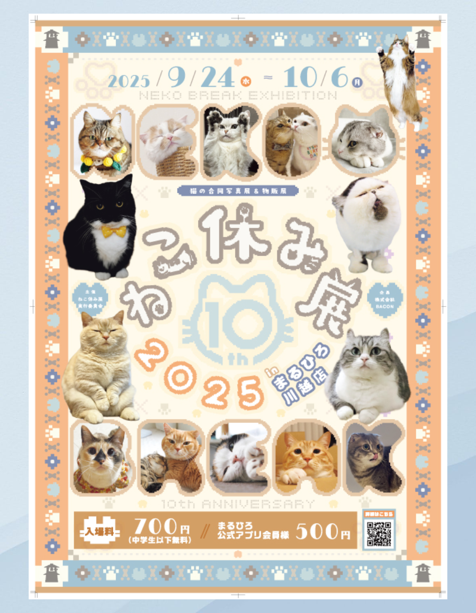 e92512132610dd098d357f2155bf89