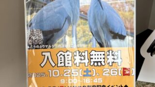 入館料無料チラシ