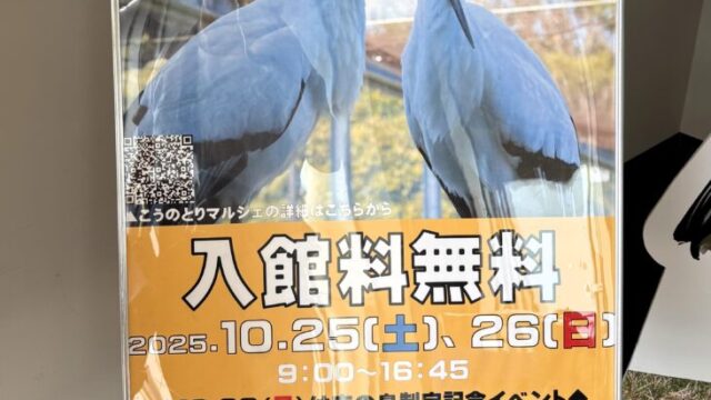 入館料無料チラシ