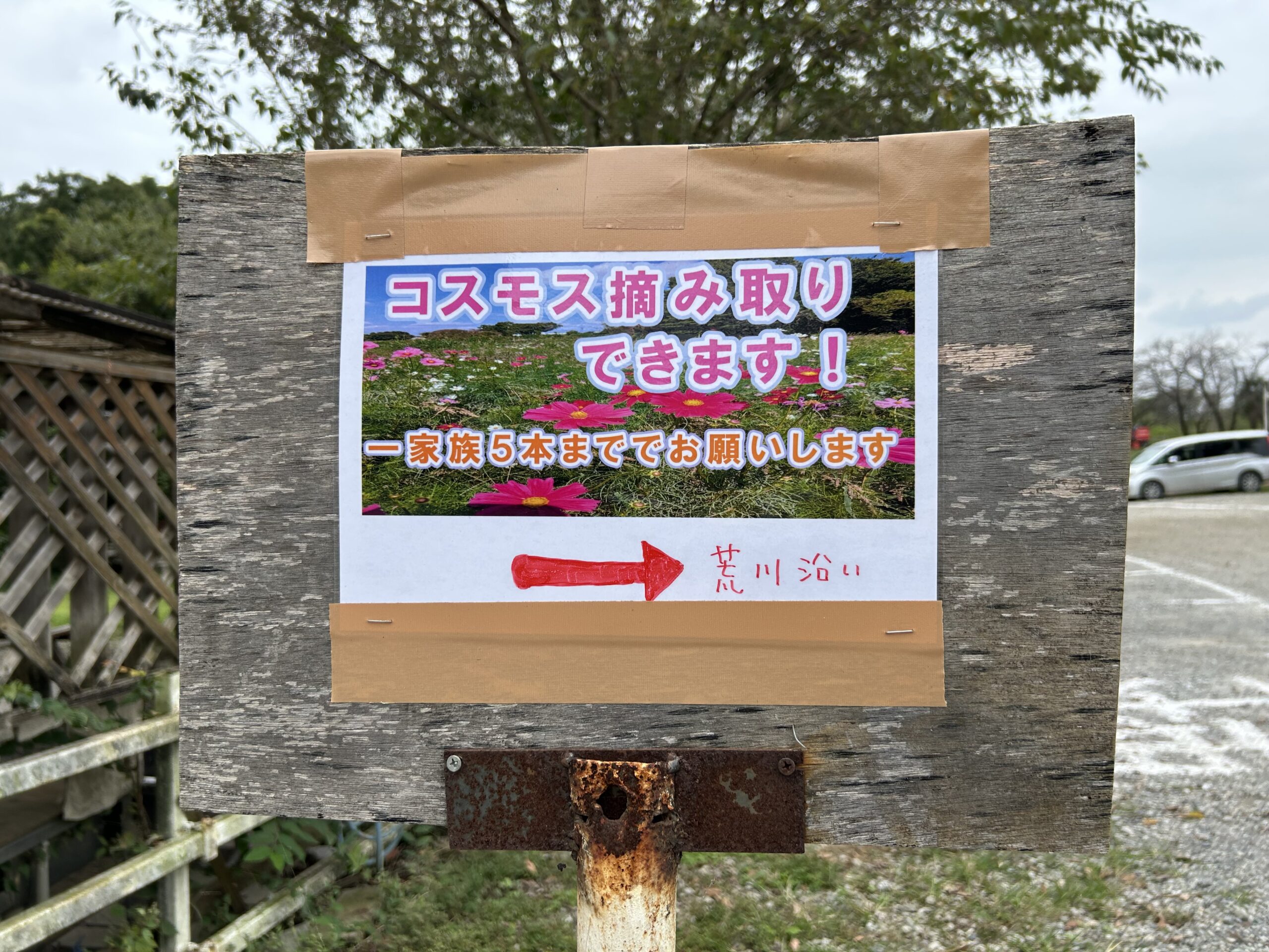 コスモス摘み取りの看板