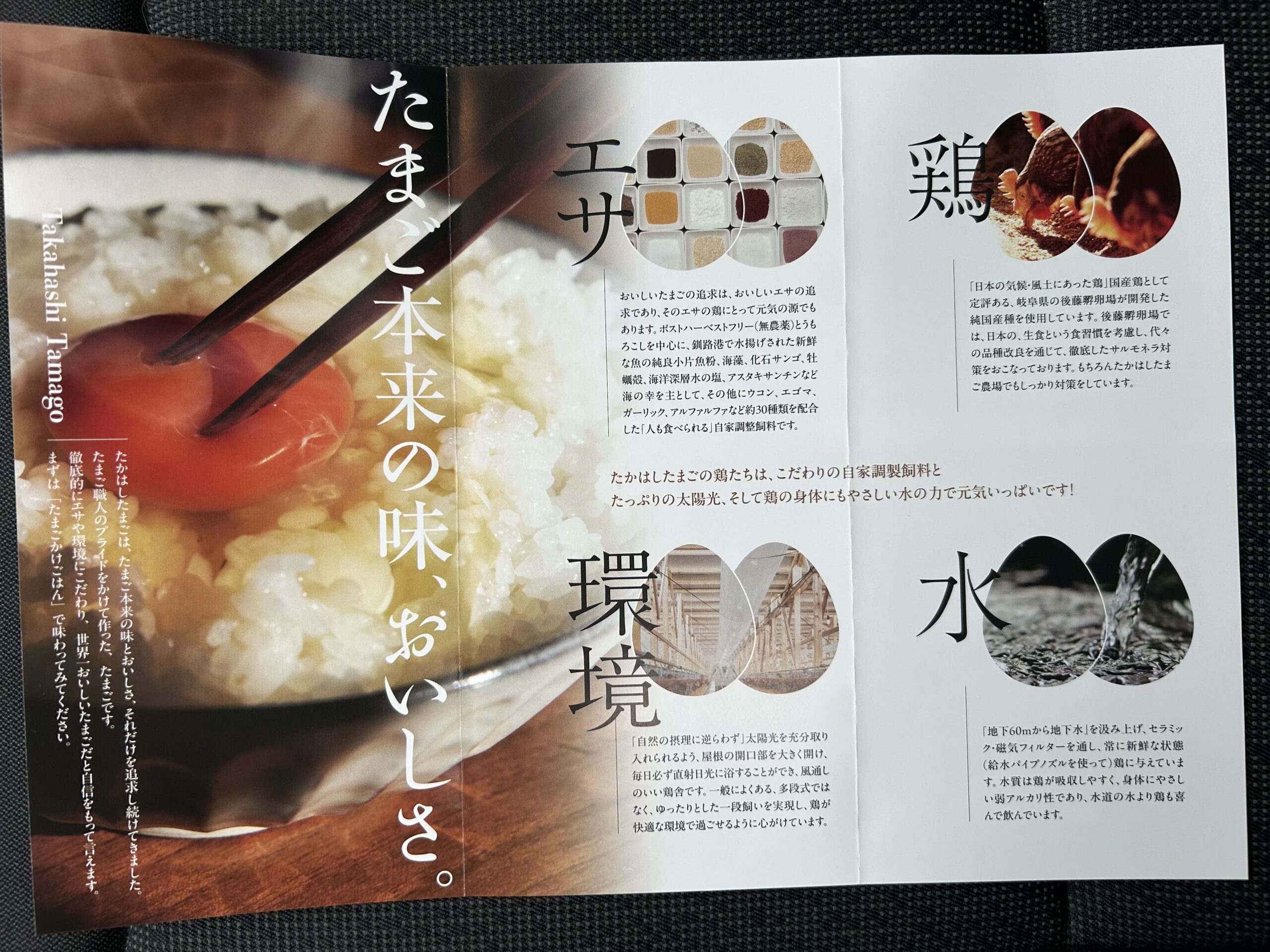 パンフレット写真