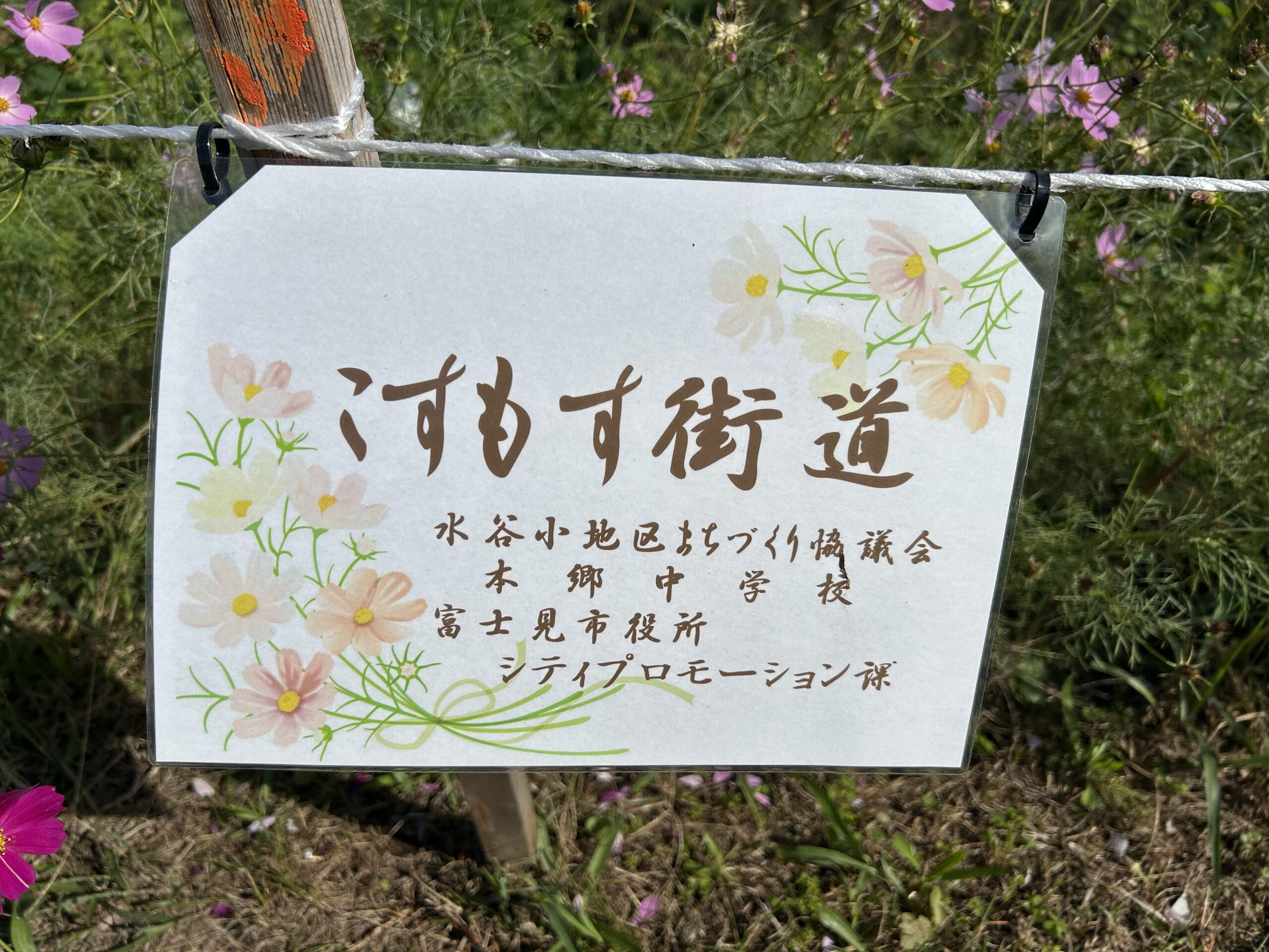 コスモス街道の看板