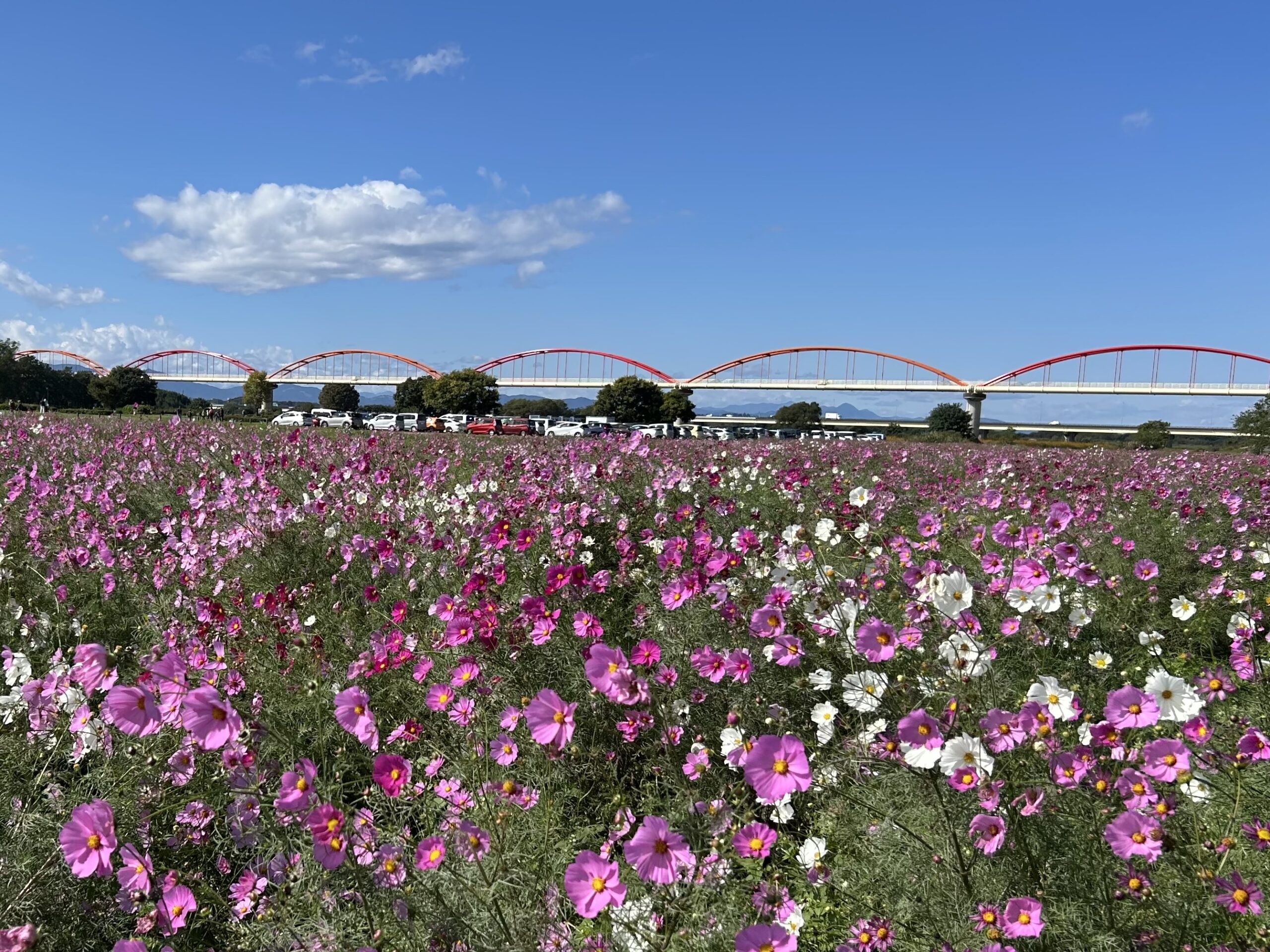 KakaoTalk_20251027_153518301-