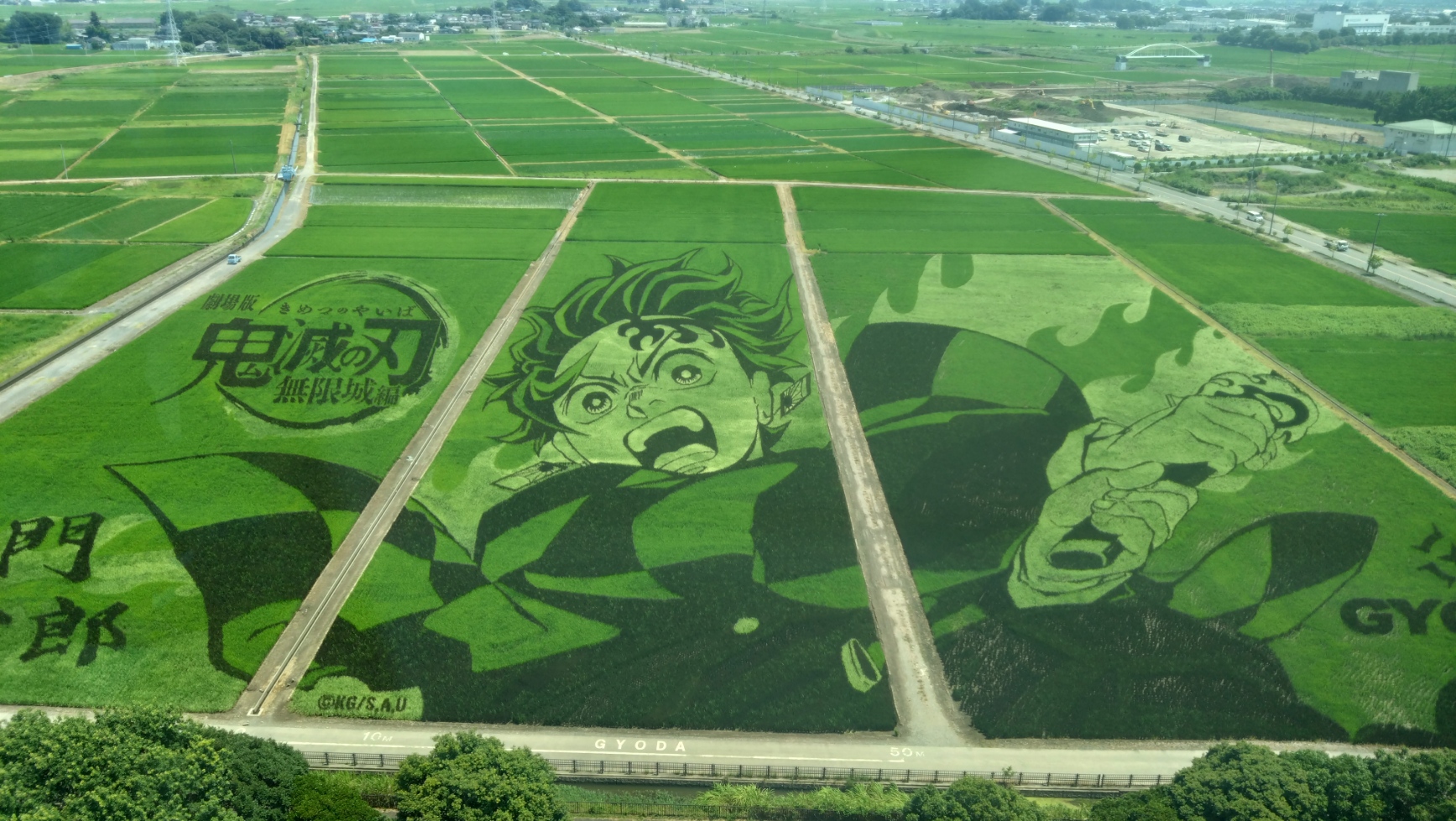 7月に撮影した田んぼアート