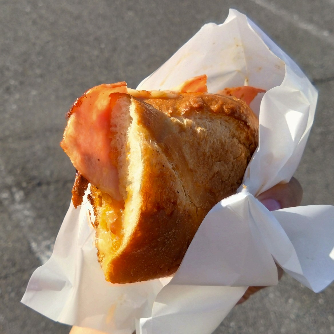 テイクアウトしたホットサンド