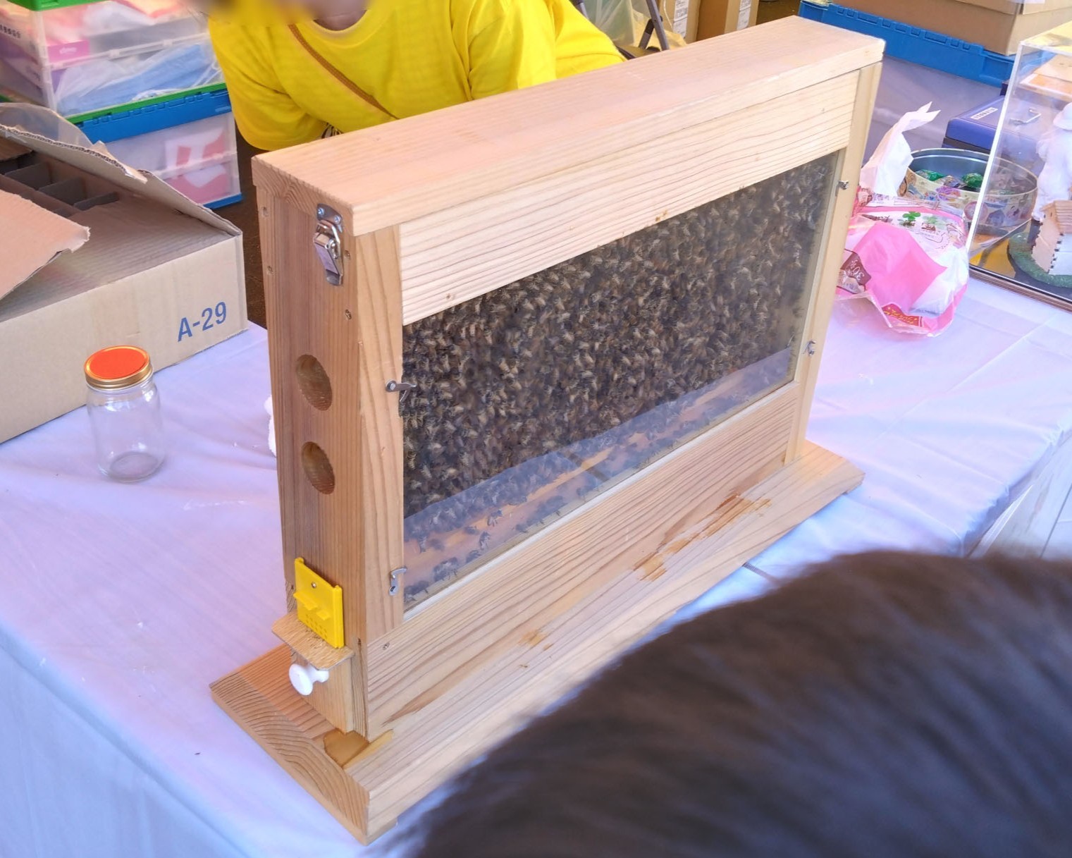 ハチミチを作っている蜂