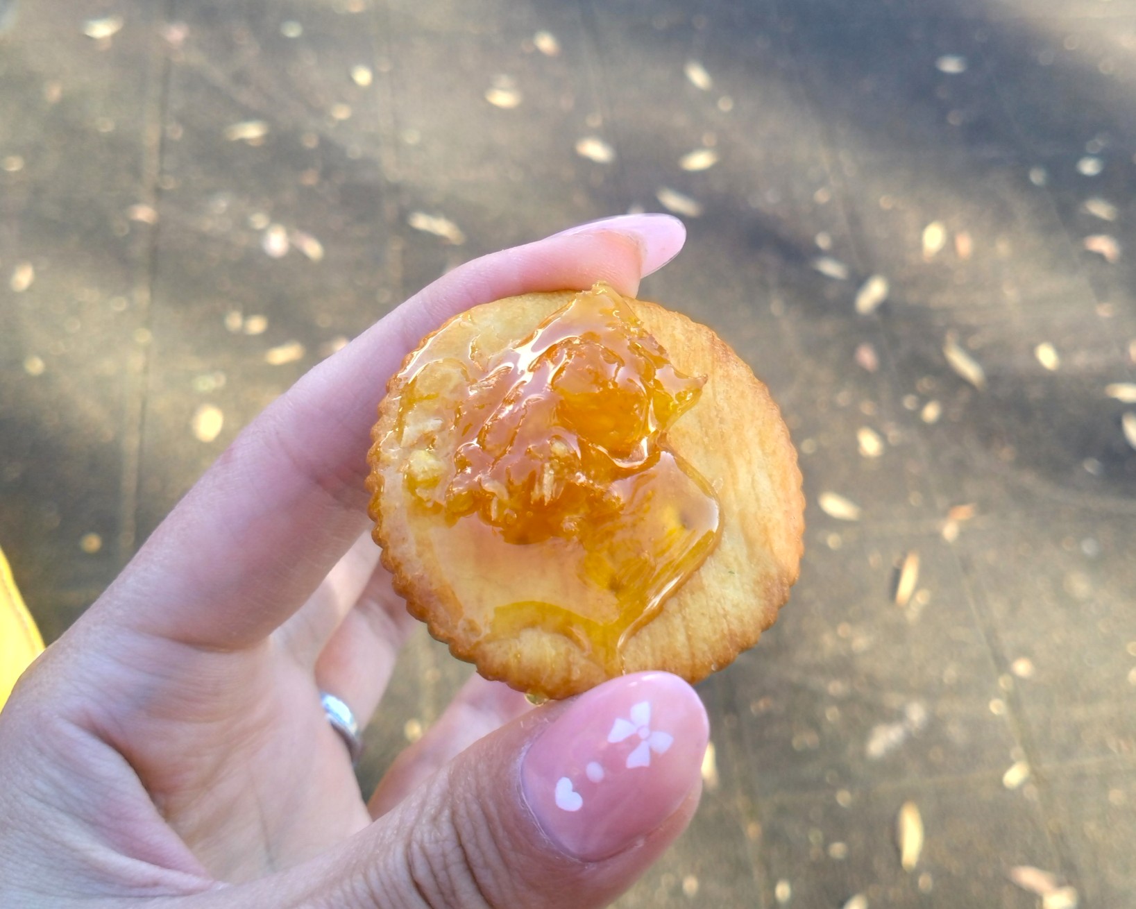 ハチミツをクッキーに付けて食べる様子