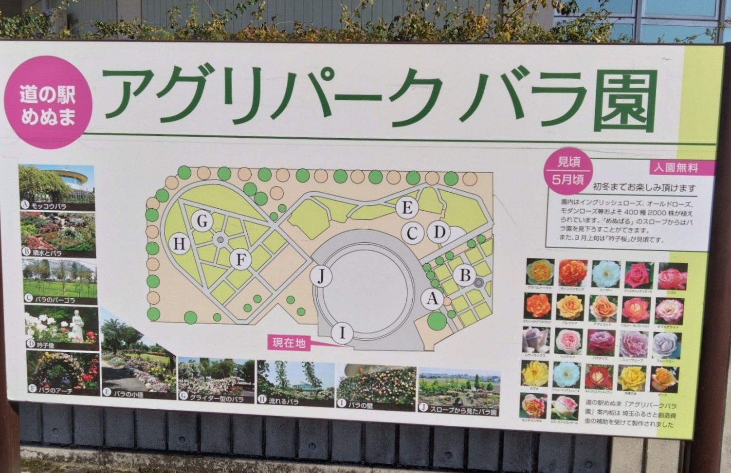アグリパーク バラ園の案内図