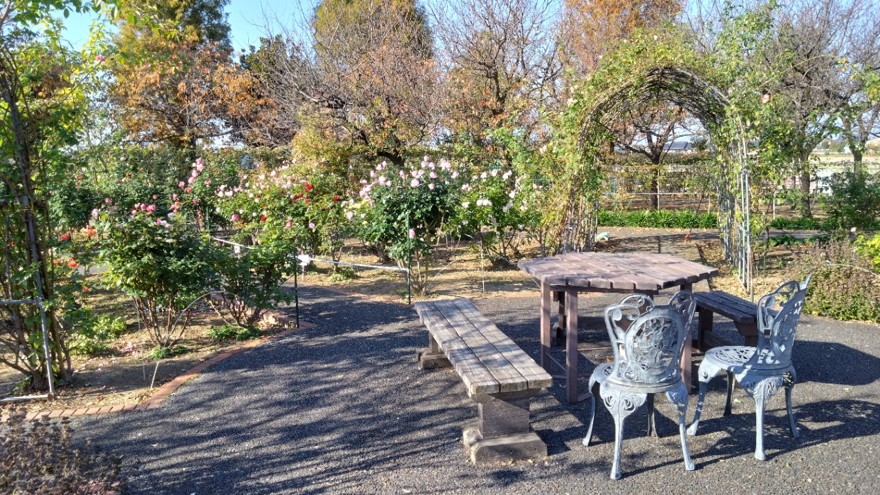 バラ園にあるテーブルとイス