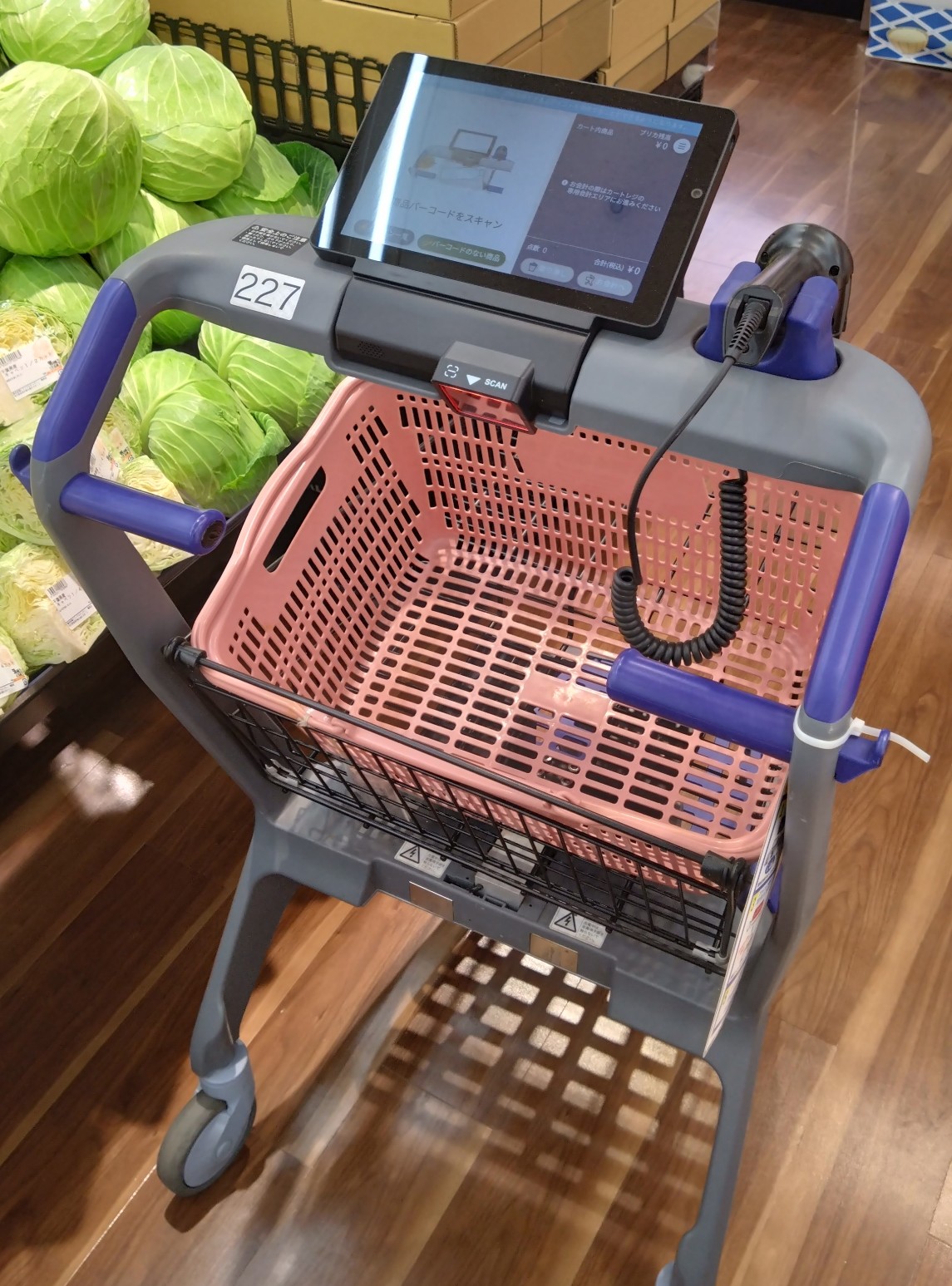 レジゴーのカート