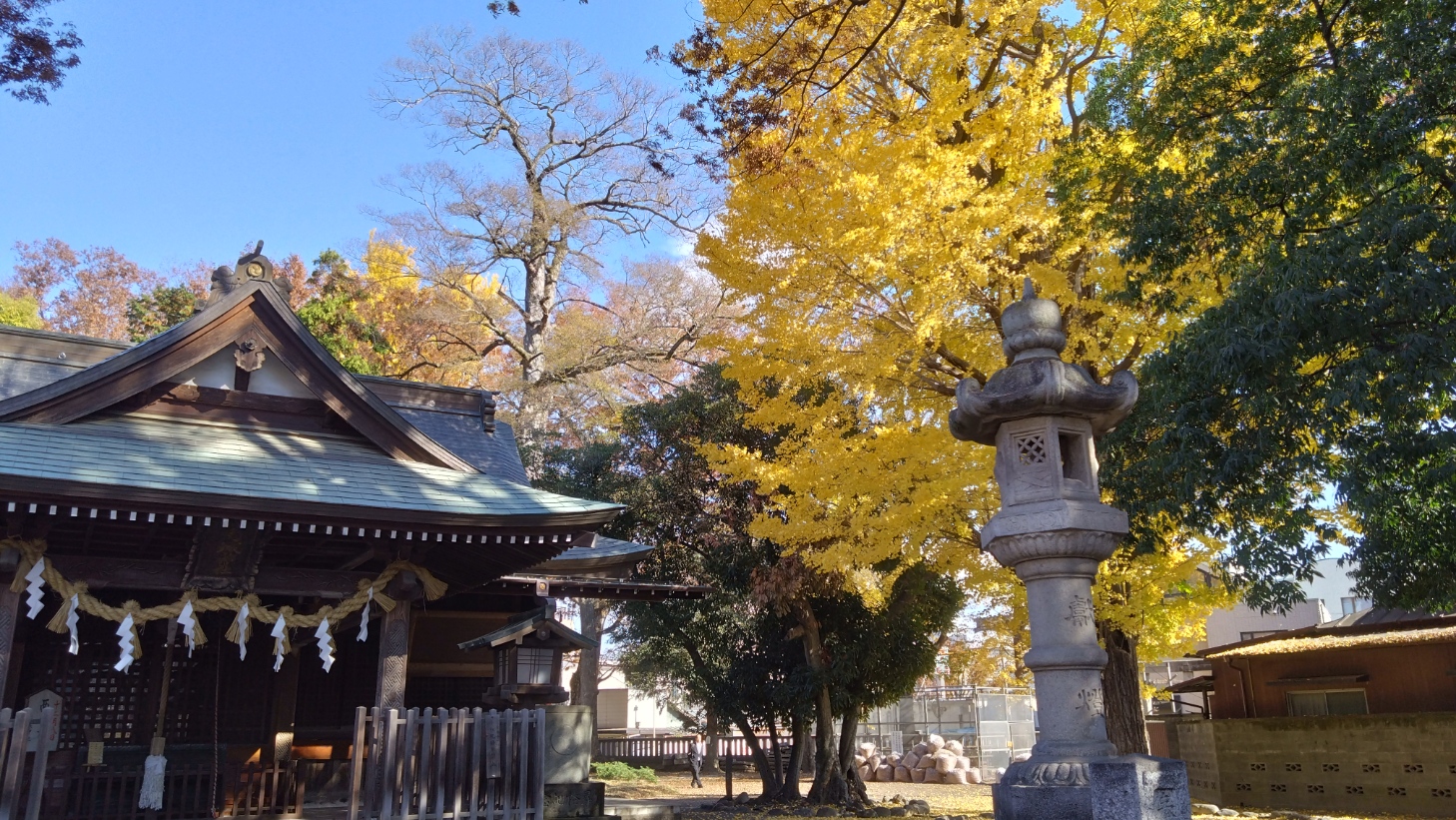 髙城神社の紅葉