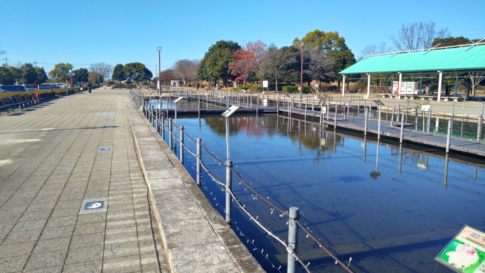 行田タワー周辺の写真