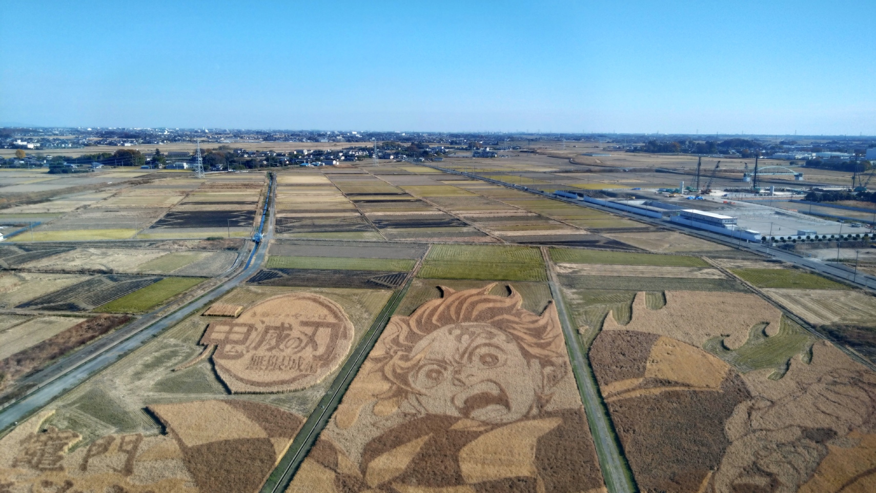 田んぼアートの見納め