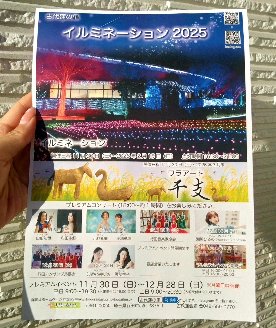 イルミネーション点灯式のプレミアムイベント