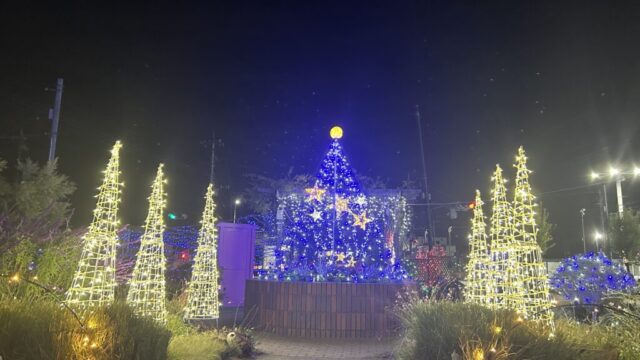 イルミネーションの様子