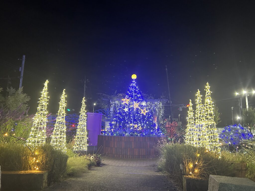 イルミネーションの様子