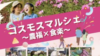 コスモスマルシェのイベントチラシ