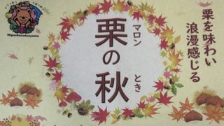 栗の秋のイベントチラシ