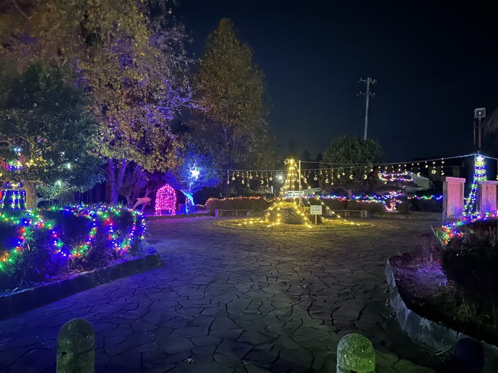 唐子中央公園のイルミネーション