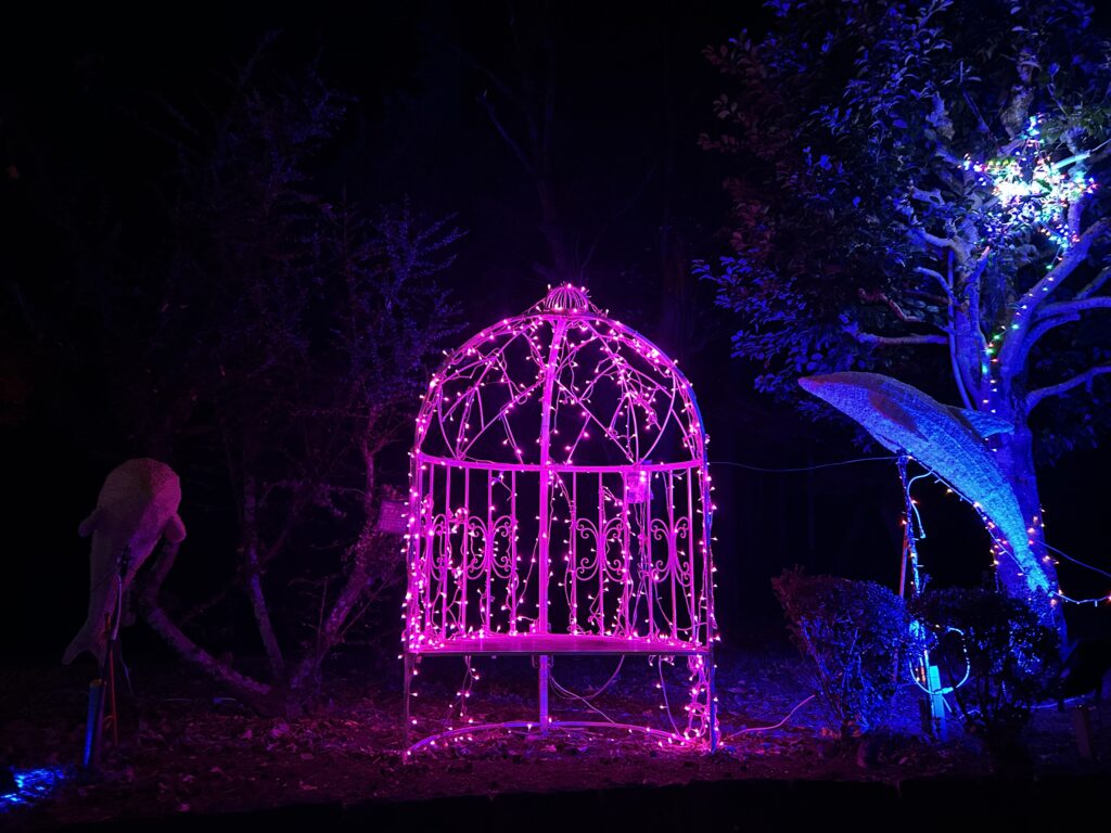 唐子中央公園のイルミネーション④