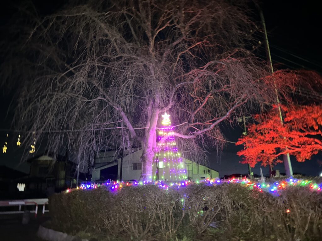 唐子中央公園のイルミネーション⑤