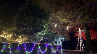 唐子中央公園のイルミネーション②