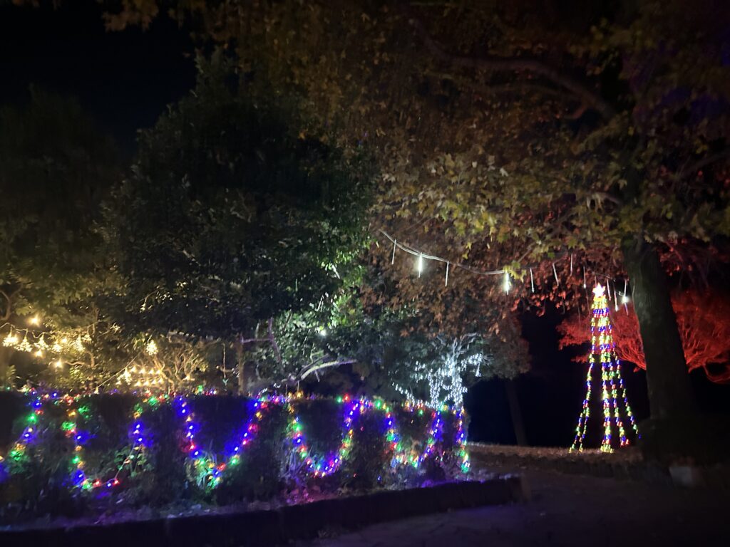 唐子中央公園のイルミネーション②