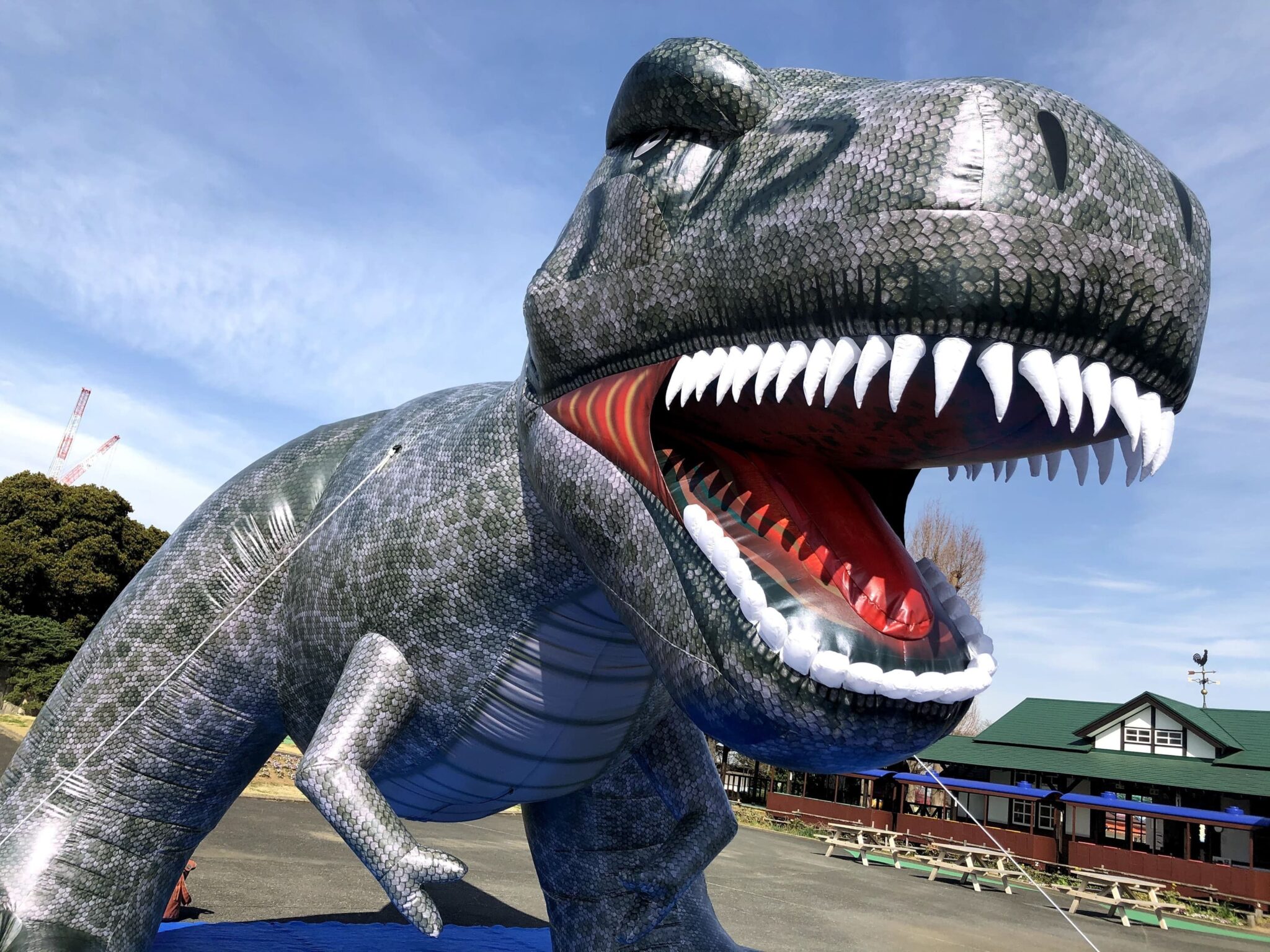 T-REXのイメージ画像