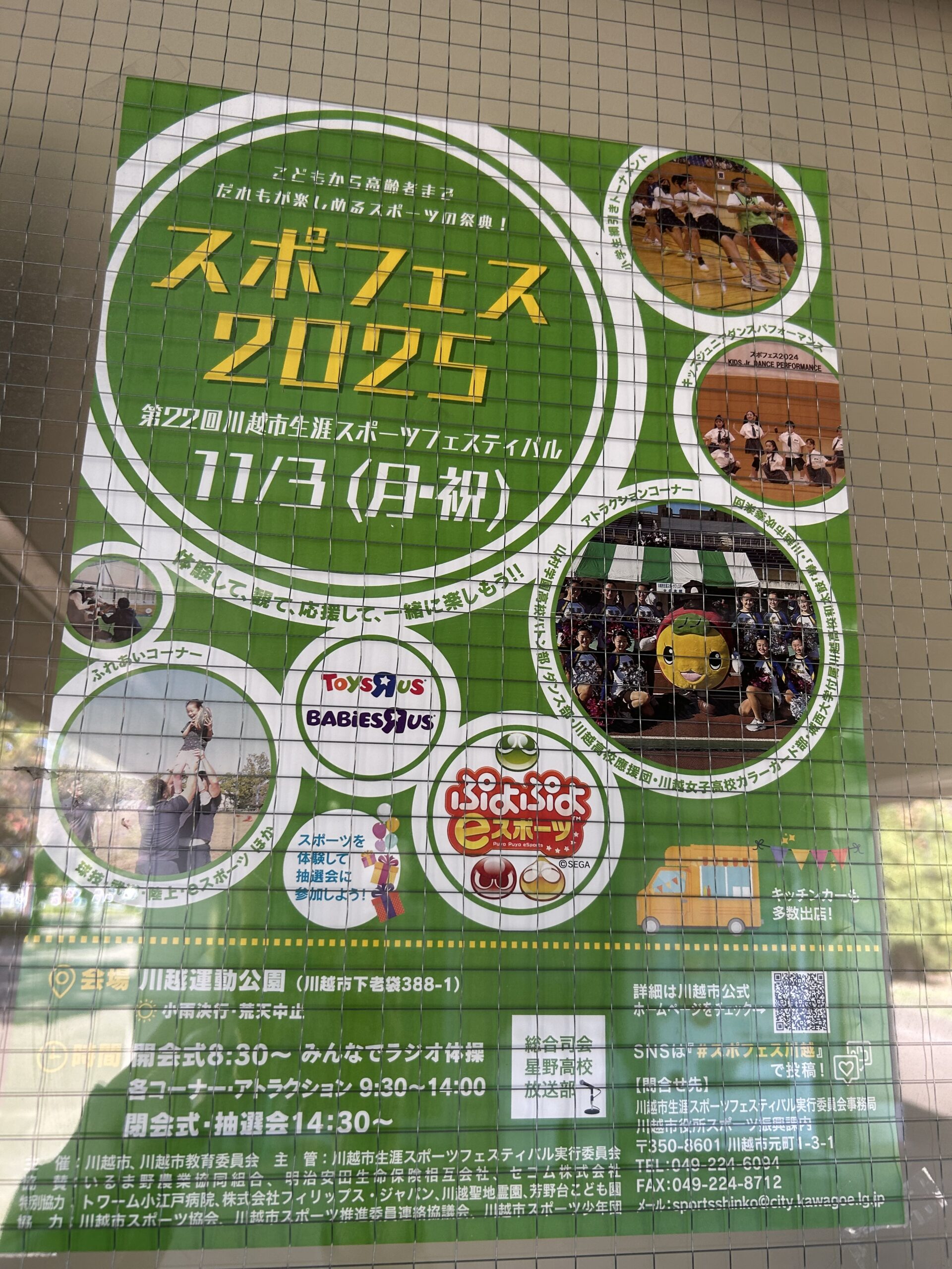 スポフェス2025チラシ画像