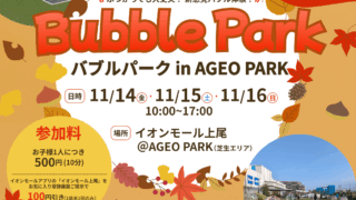Bubble Park（バブルパーク） in AGEO PARKのチラシ