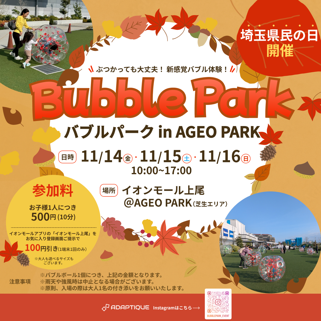 Bubble Park（バブルパーク） in AGEO PARKのチラシ