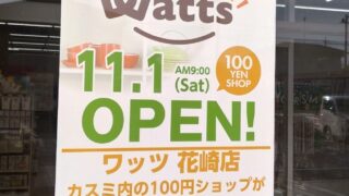 ワッツのオープンチラシ