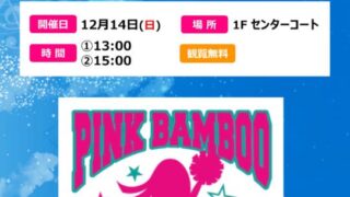 チアダンスショーのイベントチラシ