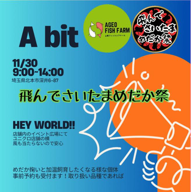 飛んでさいたまめだか祭 番外編のチラシ