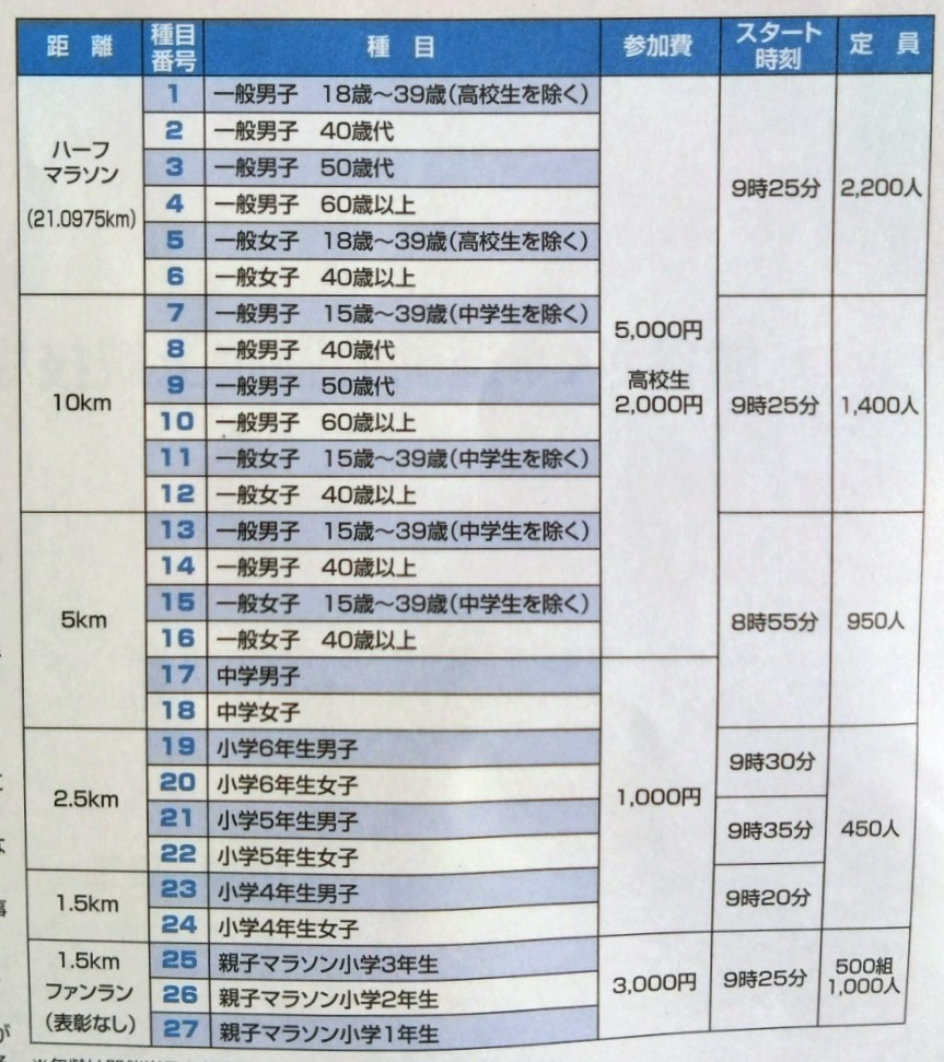 大会のスケジュール