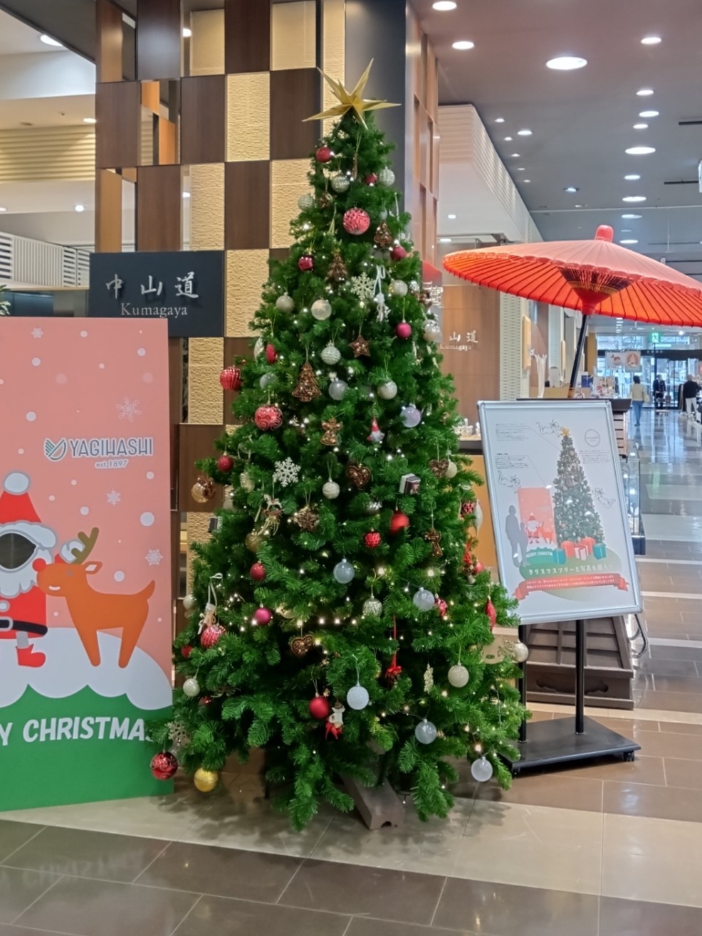 八木橋百貨店のクリスマスツリー
