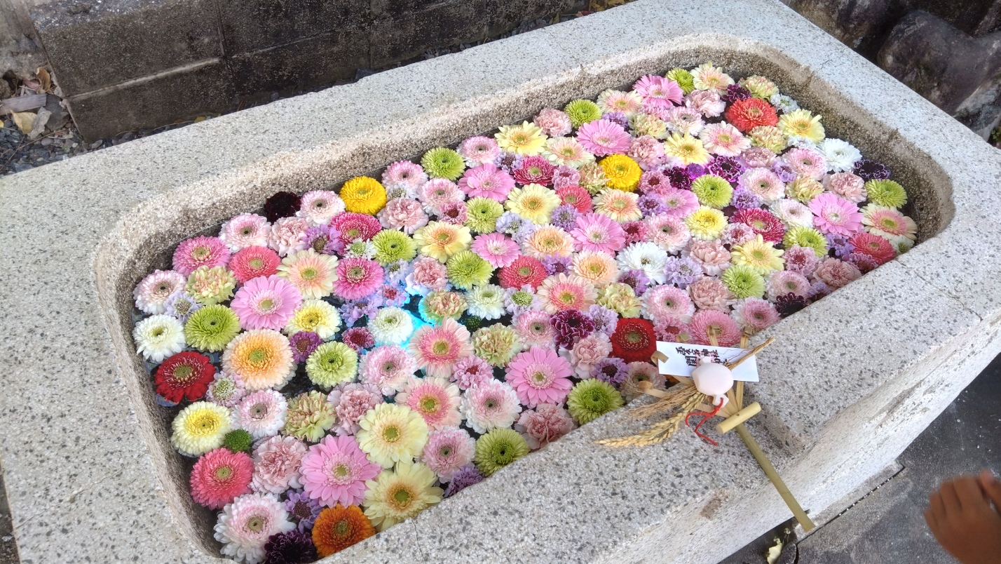花手水の写真