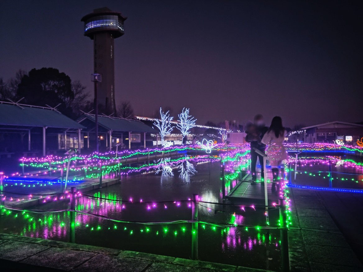 古代蓮の里のイルミネーション