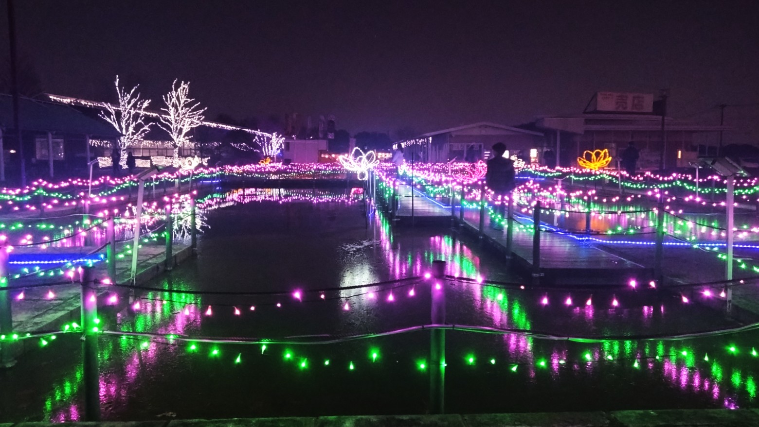 古代蓮の里のイルミネーション②