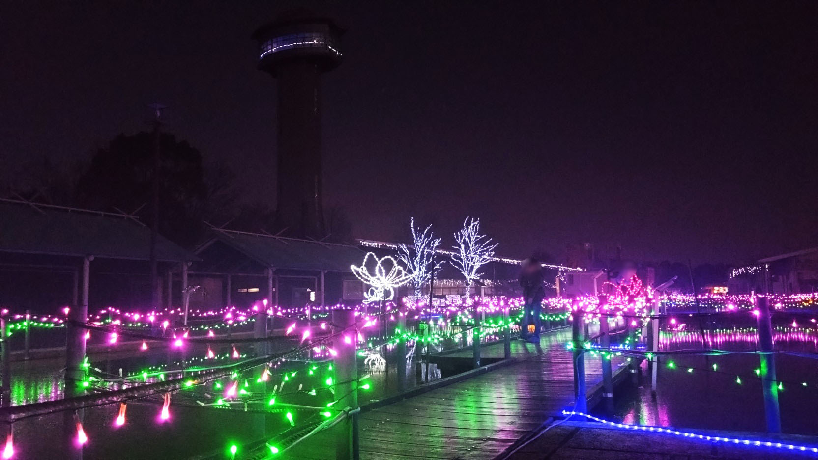 古代蓮の里のイルミネーション③