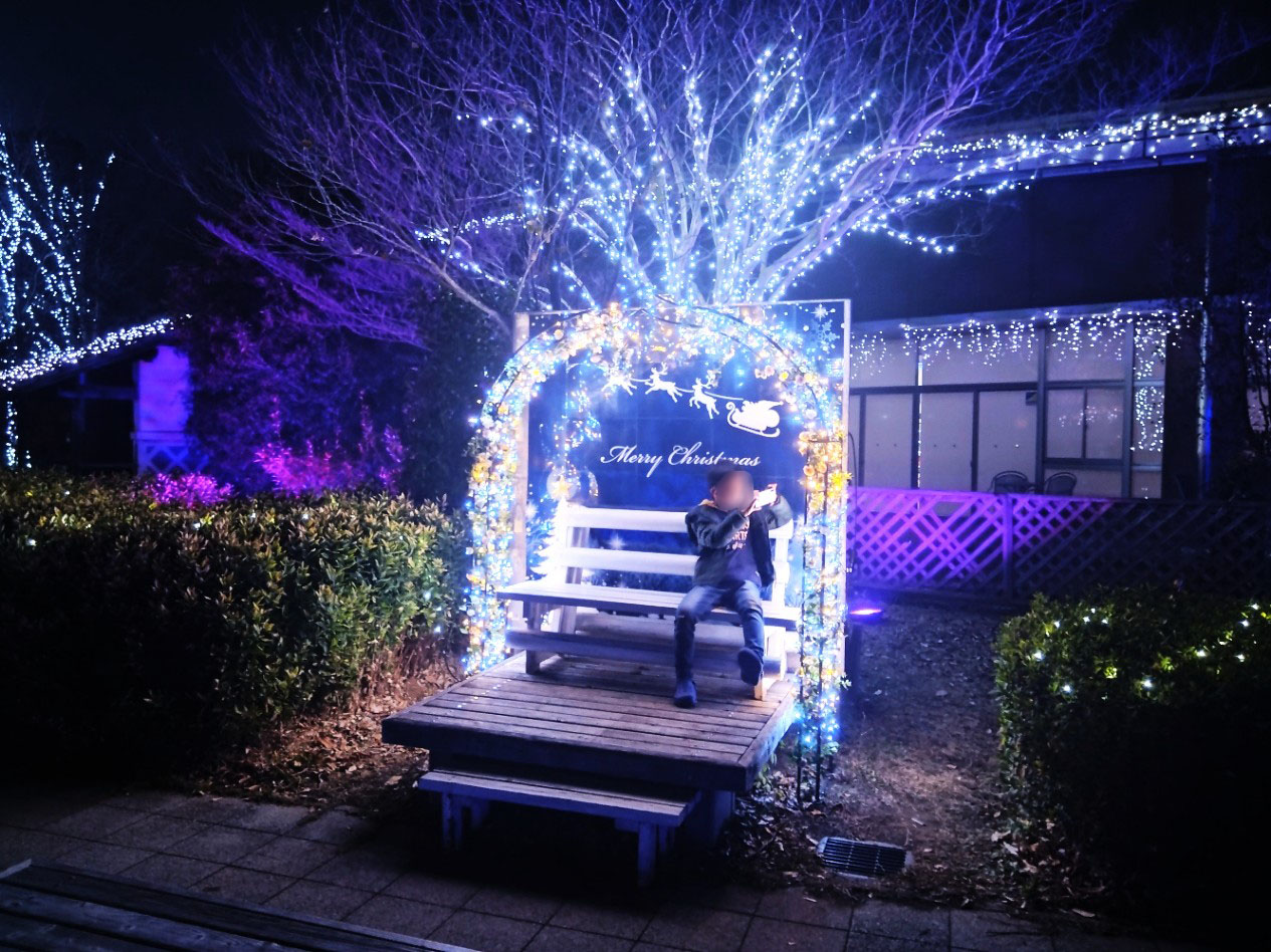 古代蓮の里のイルミネーション④