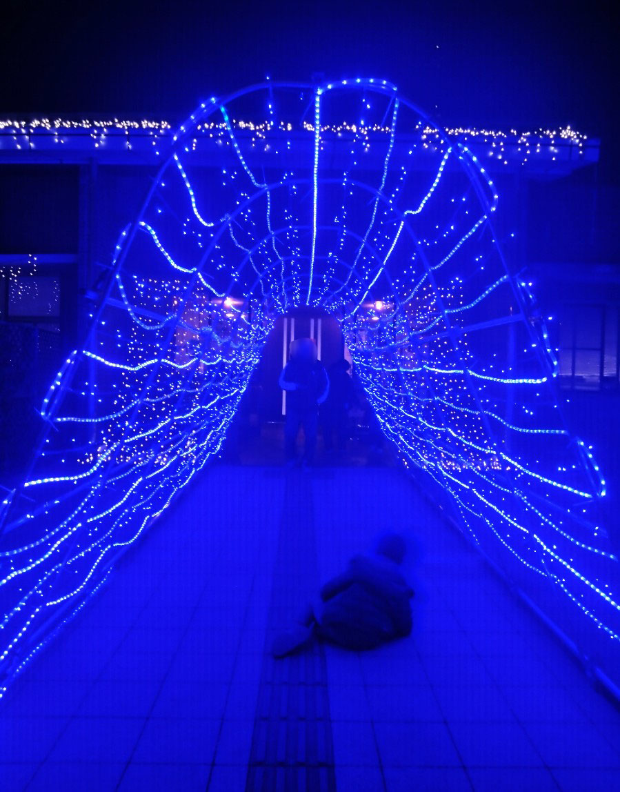 古代蓮の里のイルミネーション⑤