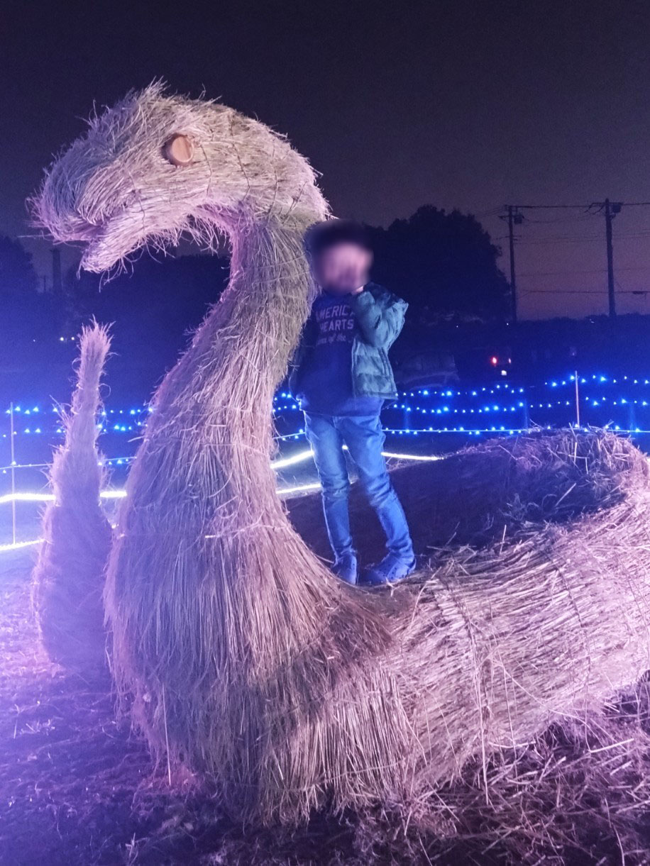 わらアートとおイルミネーションのコラボ