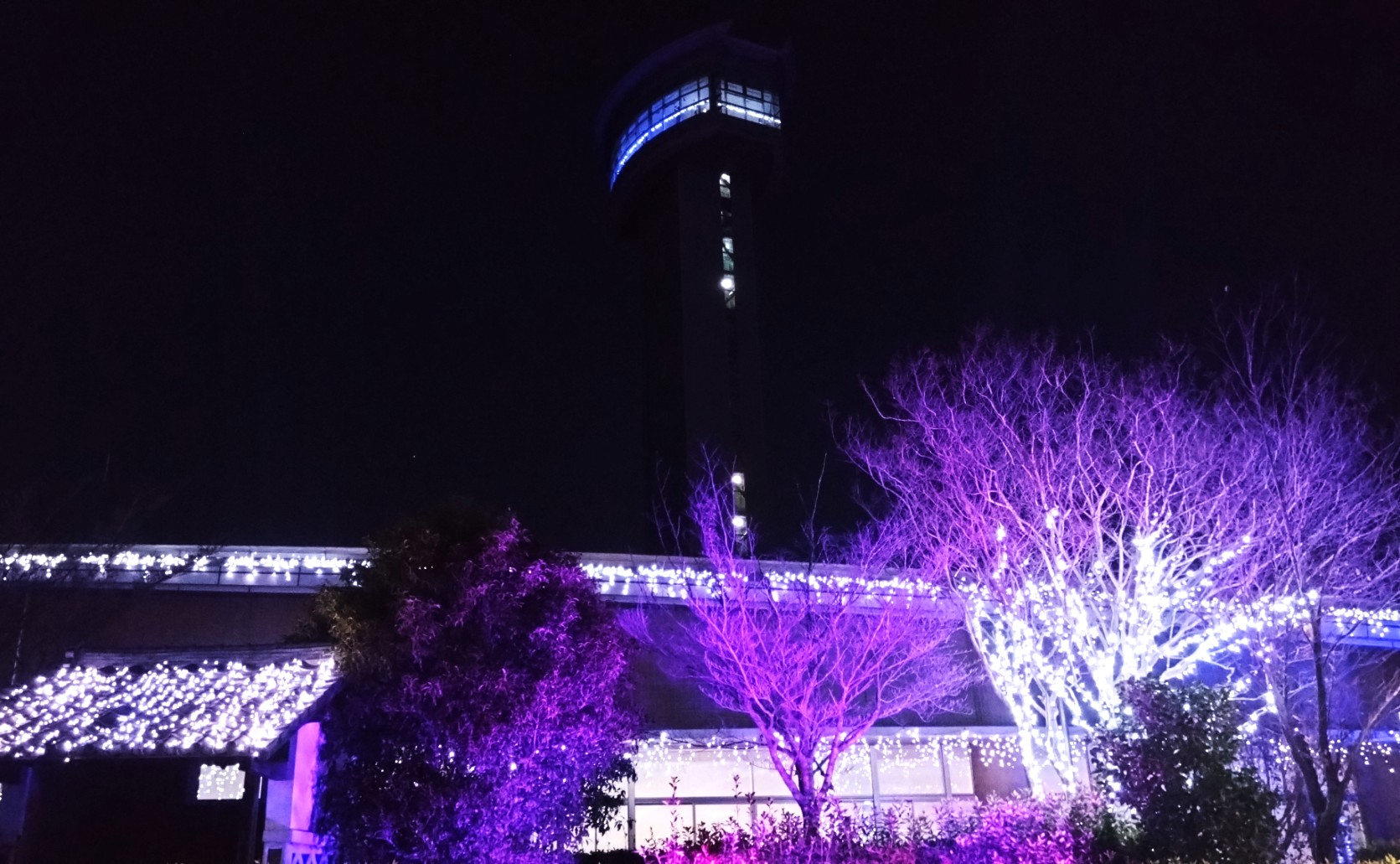 古代蓮の里のイルミネーション⑥