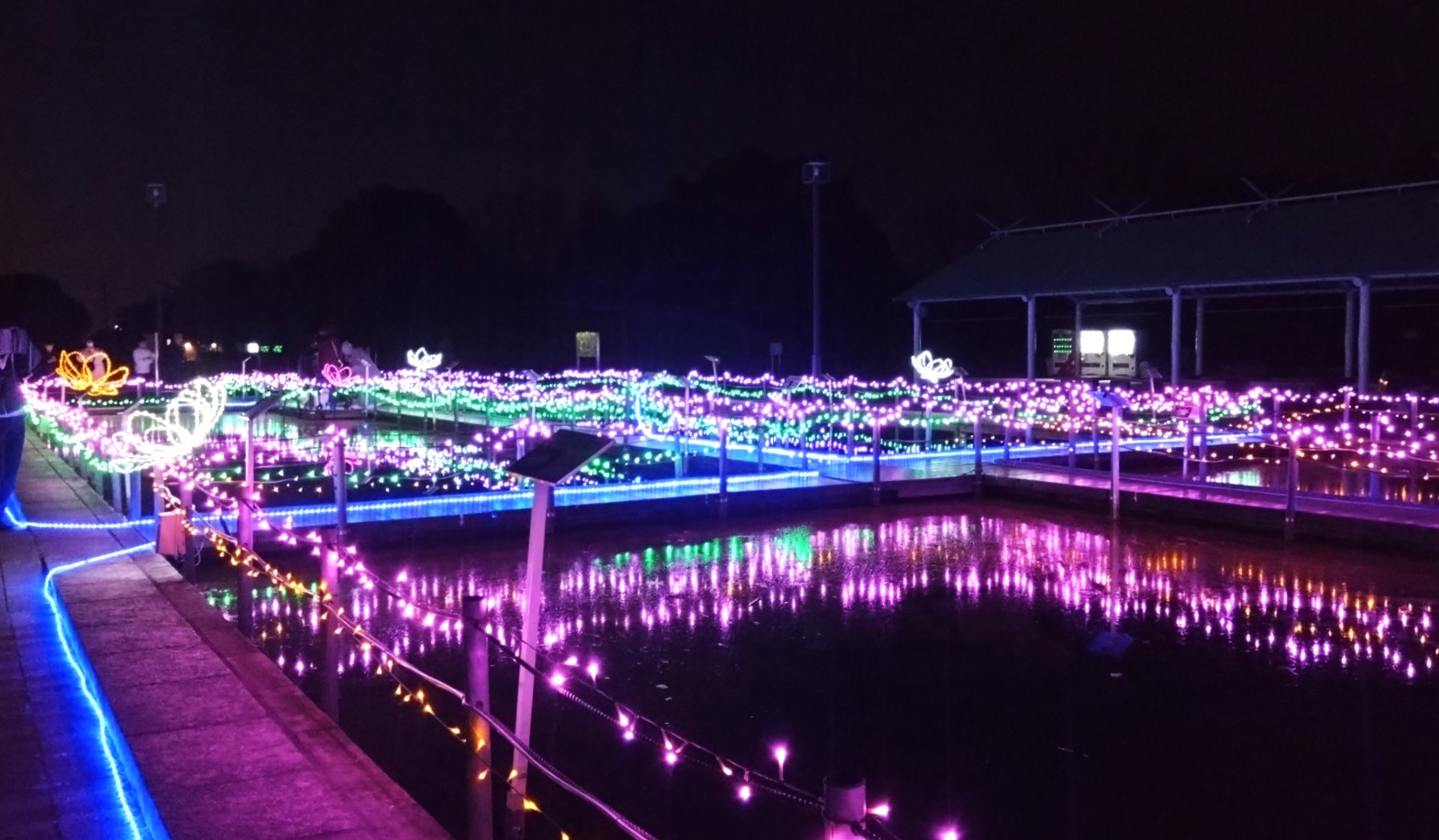 古代蓮の里のイルミネーション⑦
